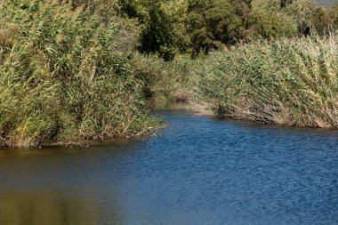 Küçük nehir Outlet