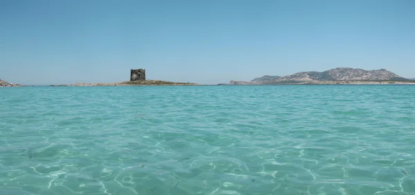 Maldivler Island panoramik 