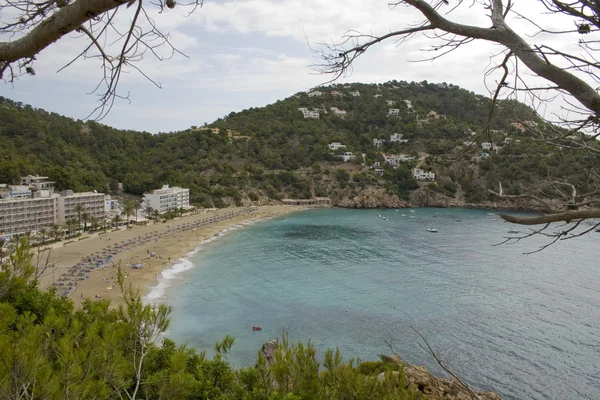 Maldivler Island panoramik 