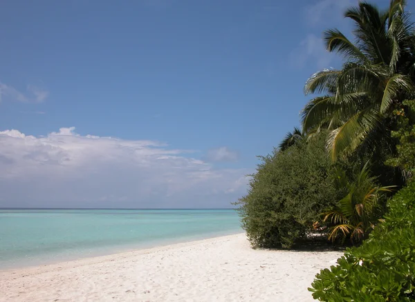 Maldives white beach — Stock Photo, Image