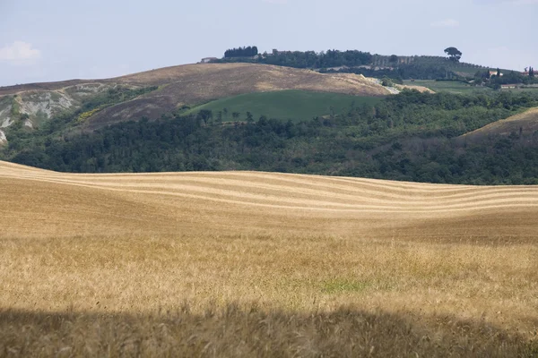 toskana manzara