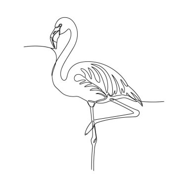 Şirin bir flamingonun vektör çizimi