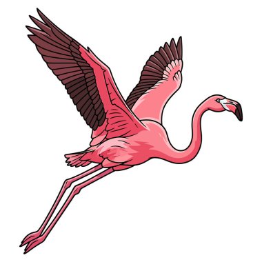 Şirin bir flamingonun vektör çizimi