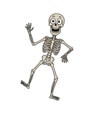 Komik karikatür iskeleti.