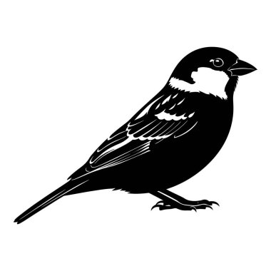 Siyah ve Beyaz Siluet Vektör İllüstrasyonu