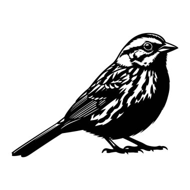 Siyah ve Beyaz Siluet Vektör İllüstrasyonu