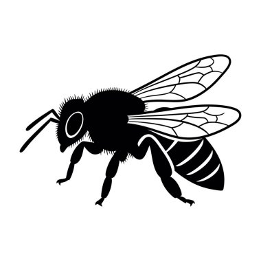 Siyah ve Beyaz Siluet Vektör İllüstrasyonu