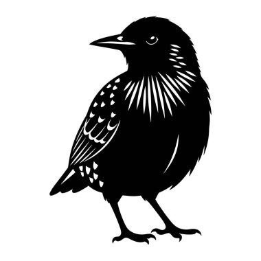 Siyah ve Beyaz Siluet Vektör İllüstrasyonu