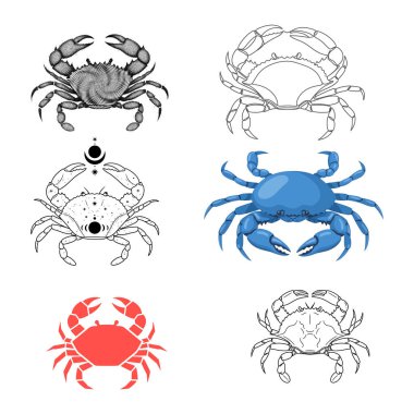 Komik Yengeç Karakterinin Vektör İllüstrasyonu