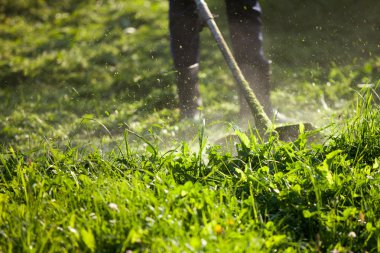 Adam toprağını çim biçme