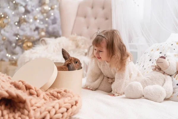 티아라 드레스를 소녀는 침대에 크리스마스를 침실의 조명에 반해서 토끼를 바라본다 — 스톡 사진