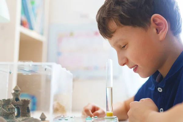 happy boy watches with interest the life of the formicarium, an ant farm with reaper ants, standing on a desk. A child holds an acrylic ant farm, a research model of an ant colony. Close-up