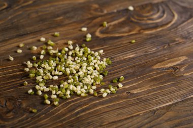 Asya fasulyeleri altın sarısıdır, lahanalı Mung fasulyeleri ahşap arka planda, masanın yüzeyinde serpilmiştir. Sağlıklı beslenme ve antioksidan. Boşluğu kopyala