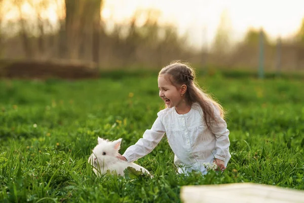 Uma Menina Bonita Sorridente Acariciar Coelho Branco Relvado Pôr Sol — Fotografia de Stock