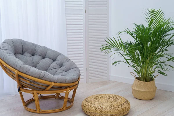 Palmier Areca Dans Panier Osier Repose Sur Sol Contre Mur — Photo