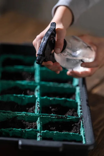 春之歌 种籽种苗 喷出的喷雾枪容器 由循环利用的原材料和泥土制成 用于种植植物 — 图库照片