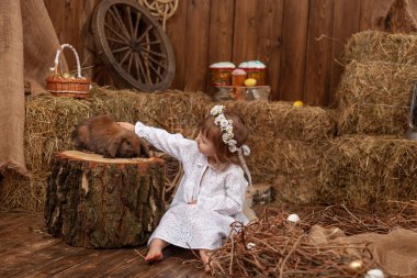 Easter decoration. cute little girl petting and feeding lop-eared rabbit. child in white dress and wreath flowers on his head, is in contact, communicates with pet rabbit, in hay barn on Easter day.