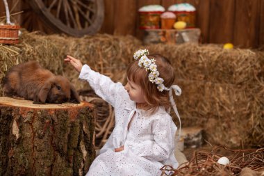 Easter decoration. cute little girl petting and feeding lop-eared rabbit. child in white dress and wreath flowers on his head, is in contact, communicates with pet rabbit, in hay barn on Easter day.