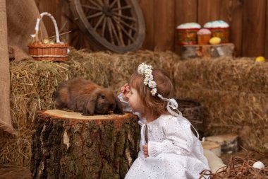 Easter decoration. cute little girl petting and feeding lop-eared rabbit. child in white dress and wreath flowers on his head, is in contact, communicates with pet rabbit, in hay barn on Easter day.