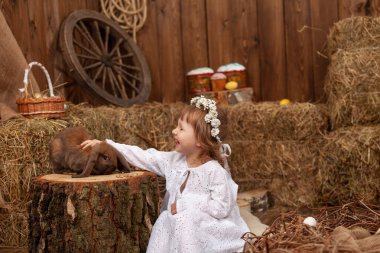 Easter decoration. little girl petting and feeding lop-eared rabbit. laughing child in dress and wreath flowers on his head, is in contact, communicates with pet rabbit, in hay barn on Easter day.