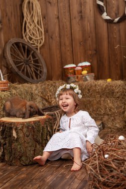 Easter decoration. little girl petting and feeding lop-eared rabbit. laughing child in dress and wreath flowers on his head, is in contact, communicates with pet rabbit, in hay barn on Easter day.