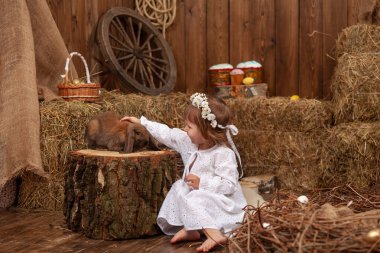 Easter decoration. cute little girl petting and feeding lop-eared rabbit. child in white dress and wreath flowers on his head, is in contact, communicates with pet rabbit, in hay barn on Easter day.