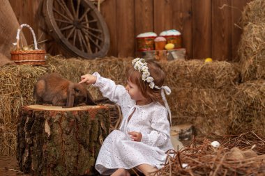 Easter decoration. cute little girl petting and feeding lop-eared rabbit. child in white dress and wreath flowers on his head, is in contact, communicates with pet rabbit, in hay barn on Easter day.