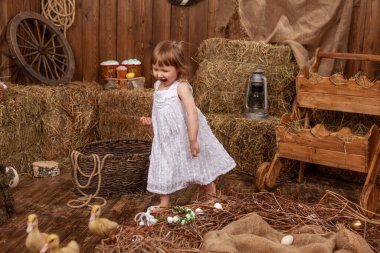 Easter composition. a little girl plays and communicates with mallard ducklings, running on the wooden floor in the hayloft. eggs in the basket. a child feeds a fluffy duckling.