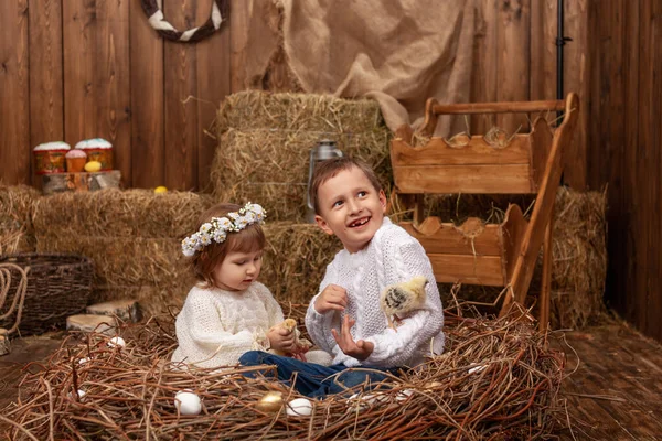 Happy Little Girl Boy Brother Sister Sit Nest Easter Eggs — Stock fotografie