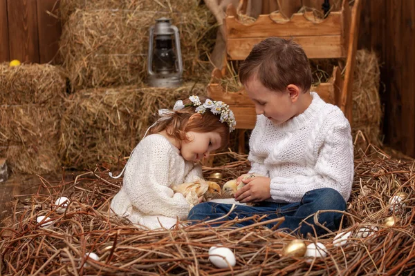 Happy Little Girl Boy Brother Sister Sit Nest Easter Eggs — Foto de Stock