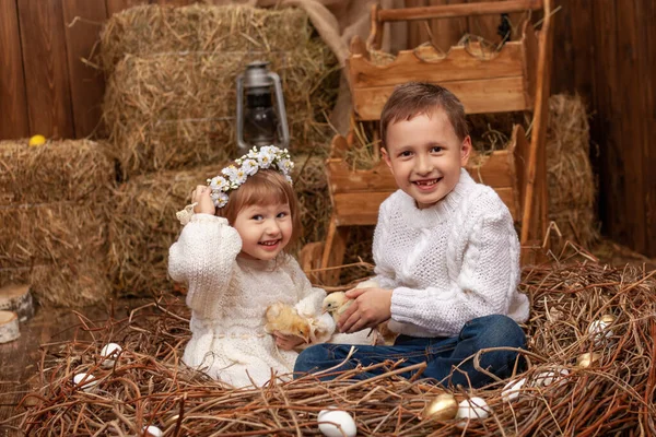 Happy Little Girl Boy Brother Sister Sit Nest Easter Eggs — 스톡 사진