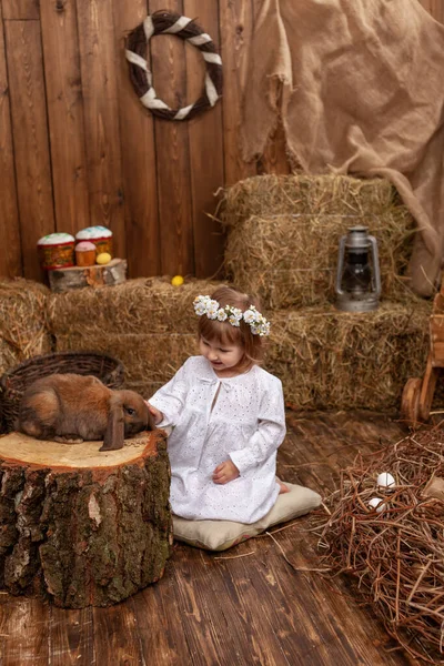 Easter Decoration Cute Little Girl Petting Feeding Lop Eared Rabbit — Stockfoto