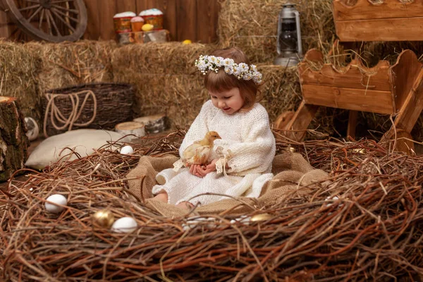 Una Niña Feliz Vestido Una Corona Sienta Nido Con Huevos — Foto de Stock