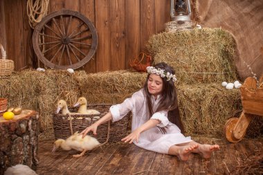 Kafasında çelenk olan mutlu, küçük bir kız yere oturur ve sarı tüylü ördekleri besler. Güzel kız neşeyle gülüyor ve Paskalya ördekleri ile oynuyor. Paskalya Kompozisyonu