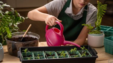 Tanımlanamayan bir çocuğun eve fidanlar dikerken yakın çekimi. Bir çocuk sulama kutusundan bitkileri sular. Nakil ve fidelerle ilgilenmek..