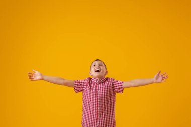 8 yaşında, kırmızı kareli gömlekli neşeli bir çocuk kollarını yana doğru açtı ve sarı arka planda mutlu bir şekilde gülümsedi. Yakın plan. Çocuk başarı ve zaferle sevinir. İndirim ve satış