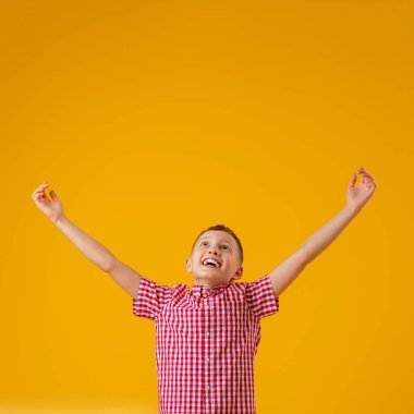 8 yaşında, kırmızı kareli gömlekli neşeli bir çocuk kollarını yana doğru açtı ve sarı arka planda mutlu bir şekilde gülümsedi. Yakın plan. Çocuk başarı ve zaferle sevinir. İndirim ve satış