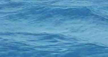 Hareket eden hafif su dokusu, akışkan desen, dalgalara benzer. Soyut 3D görüntüleme. Dinamik hareket ve elektromanyetik dalgalar. 4K sıvı animasyonu. Parlak sıvı cam gibi 3D mavi dalgalı yüzey