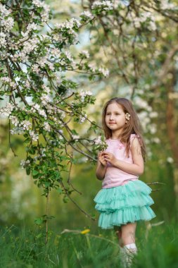 Mutlu beş yıl, güneşli bir günde kiraz bahçesinde çiçek koklamak. İlkbaharda doğa yürüyüşü güneş ışınlarının tadını çıkarır. Sevimli bebek baharda taze kiraz ağacı çiçeği toplar ve doğayı keşfeder..