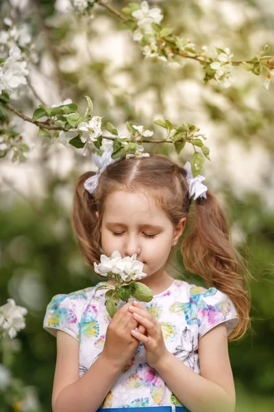 Criança Feliz Cinco Anos Cheirando Flores Pomar Cereja Florescendo Dia — Fotografia de Stock