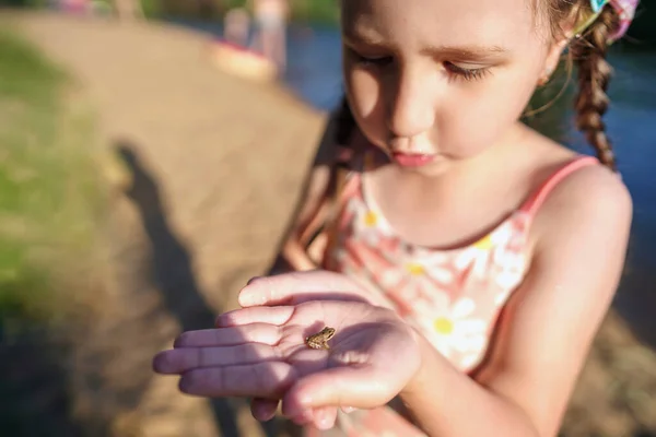 Petite Fille Curieuse Ans Tenant Une Minuscule Grenouille Sur Main — Photo