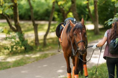 Kahverengi at ekipman ve eyer arasında dinleniyor. Çocukların yaz tatilinde parktaki gezintileri arasında. Ata binme, ata binme eğitimi.