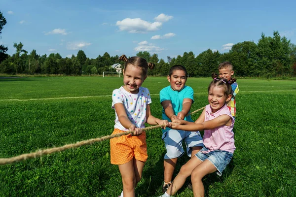 小さな幸せな就学前の子供たちのグループは 晴れた夏の日に公園で綱引きをします 新鮮な空気中の屋外ゲーム 楽しい子供時代だ 強い友情だ 子供の保護の日 — ストック写真