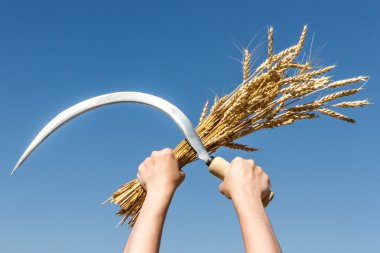 Orak ve hasat buğday adamın gökyüzüne karşı ellerini geçti