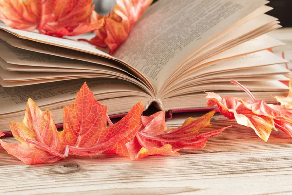 Een open boek ligt op de tabel met herfst esdoorn closeup bladeren — Stockfoto