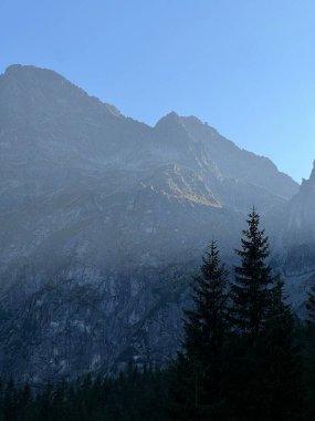 Dik Granit Tepeler Polonya Tatralarında Çam Ormanlarının Üzerinde Yükseliyor. Yüksek kalite fotoğraf