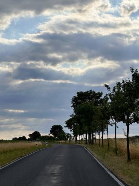 Boş asfalt yol, ağaçlardan oluşan bir çizgi ve dramatik bulutlu gökyüzü ile kırsal alanda kıvrılıyor. Yolculuk, yön, karar, seyahat, gelecek, değişim, kırsal ulaşım ve özgürlük kavramı.