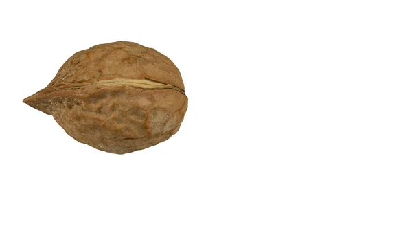 Olgun ceviz beyaz arkaplanda izole