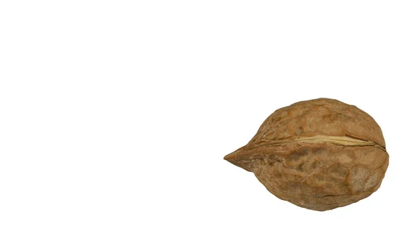 Olgun ceviz beyaz arkaplanda izole