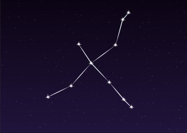 Kuğu takımyıldızı vektör